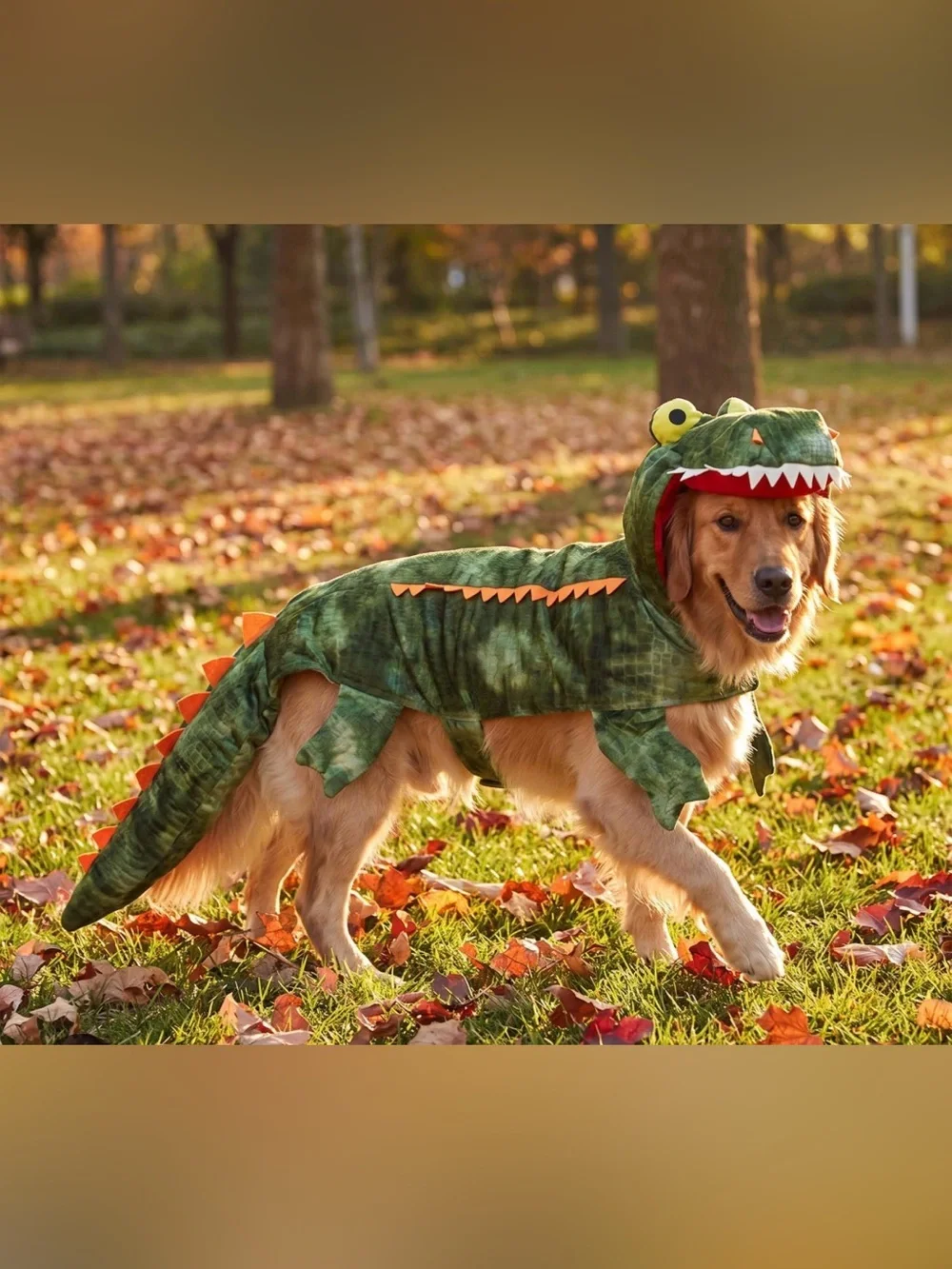 Dog alligator costume - medium - Halloween, pet parade